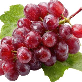 Estratto di Foglie di Uva Rossa